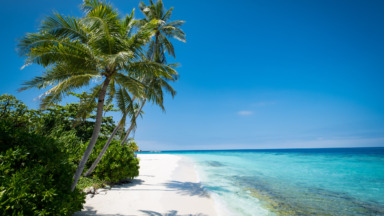 Palmbomen en wit strand bij Park Hyatt Maldives Hadahaa op de Malediven